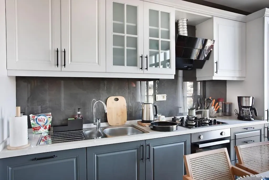 Scandinavian Style Artful Apartment In Residence Istanbul Turkiet