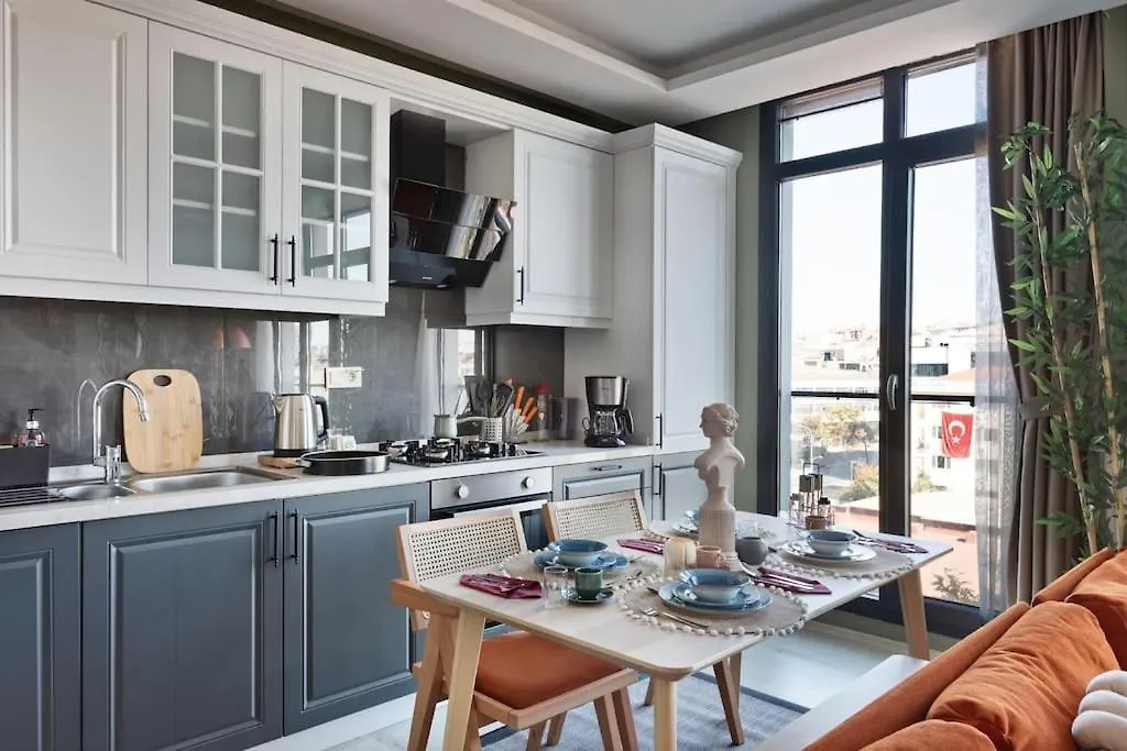 Scandinavian Style Artful Apartment In Residence Istanbul